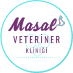 masalveteriner.com